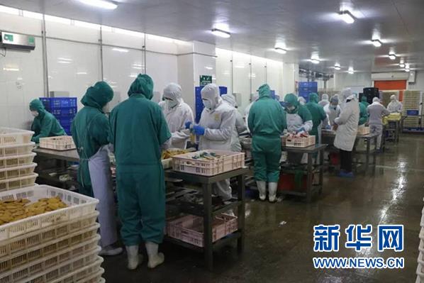 新澳门免费原料网大全