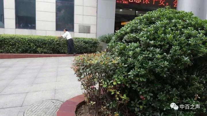 新澳门免费原料网大全
