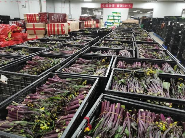 新澳门免费原料网大全