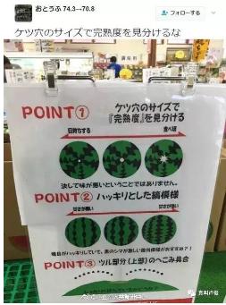 新澳门免费原料网大全
