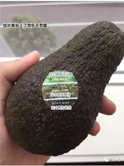 新澳门免费原料网大全