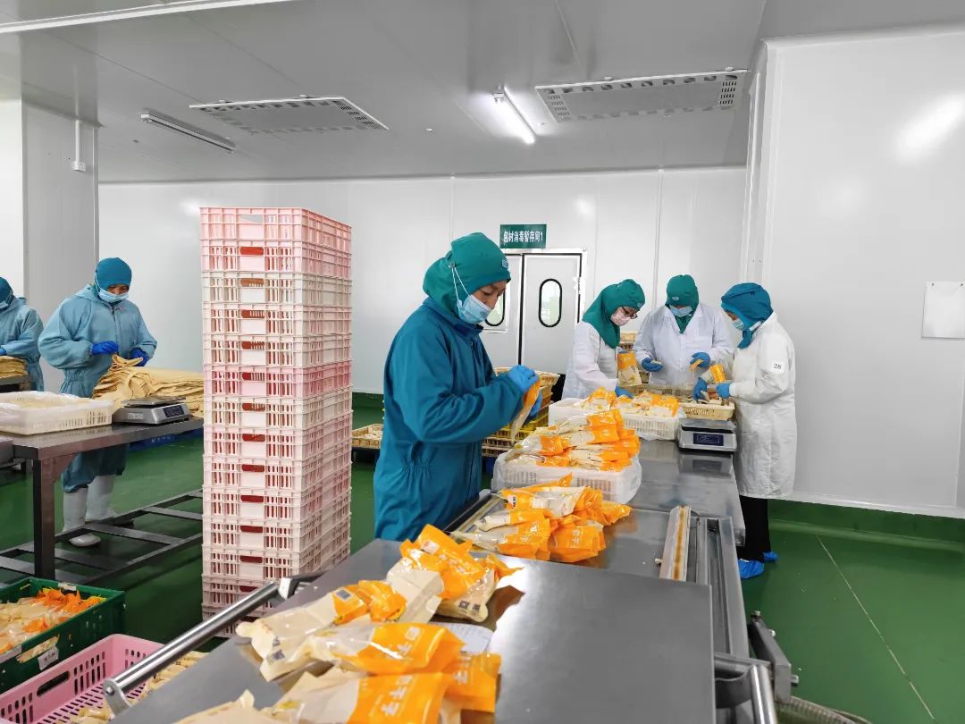新澳门免费原料网大全