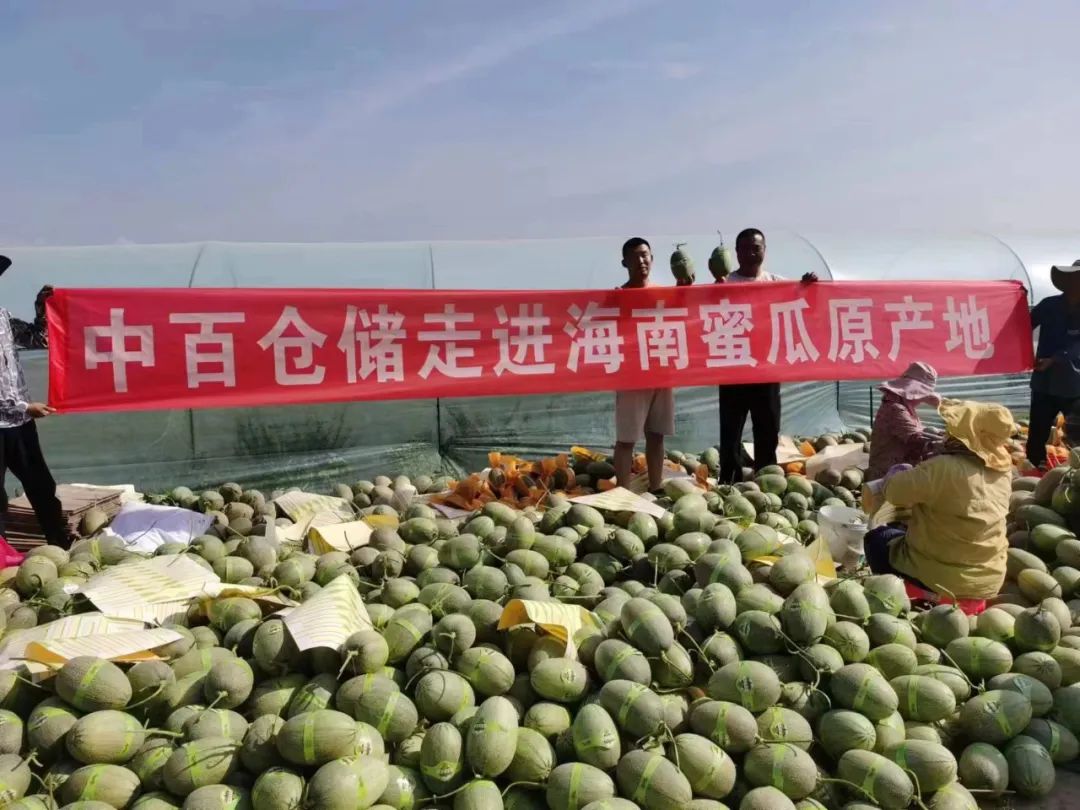 新澳门免费原料网大全