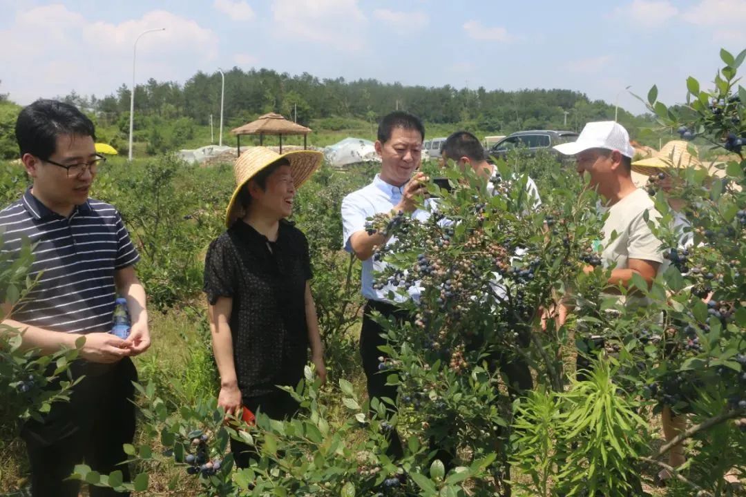 新澳门免费原料网大全