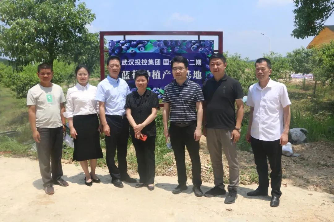 新澳门免费原料网大全
