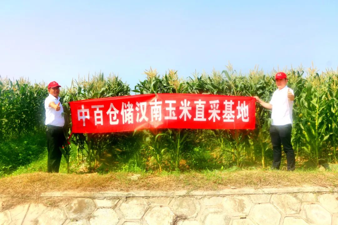 新澳门免费原料网大全