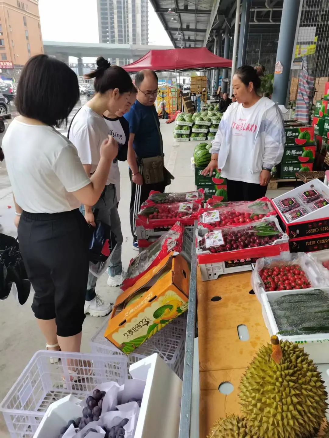 新澳门免费原料网大全