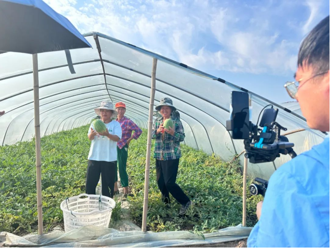 新澳门免费原料网大全