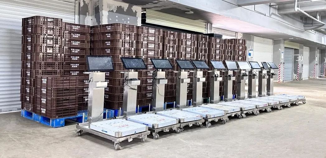 新澳门免费原料网大全