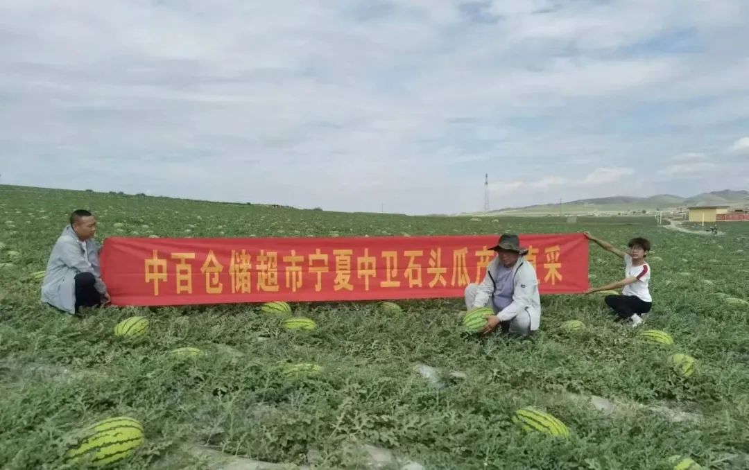 新澳门免费原料网大全