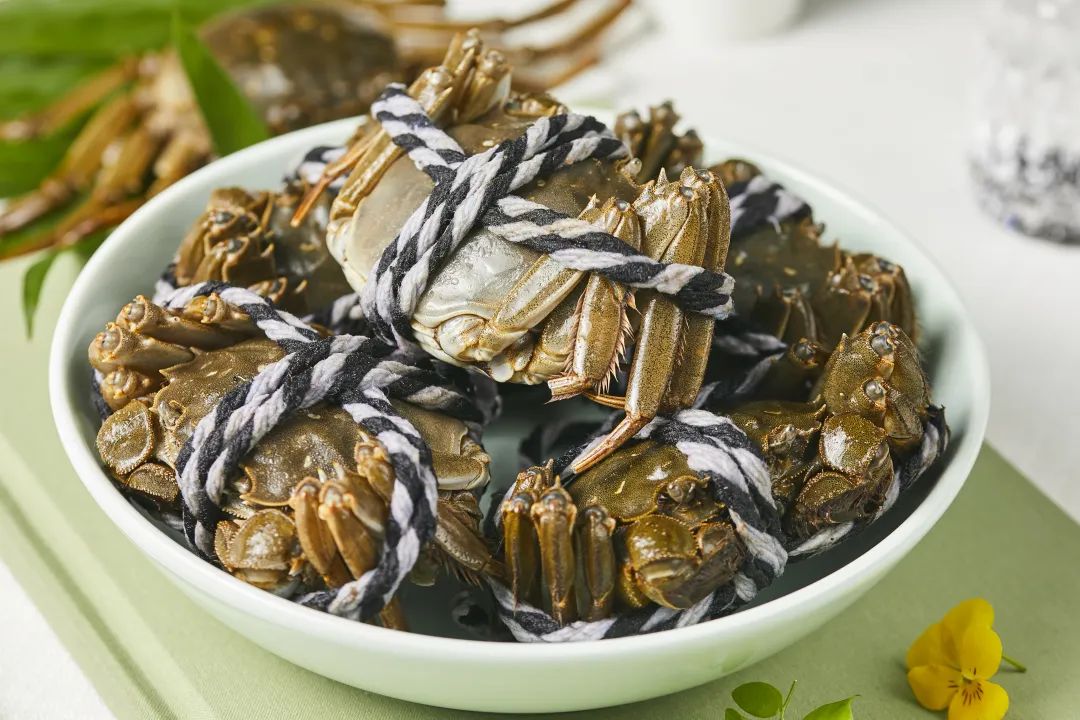 新澳门免费原料网大全