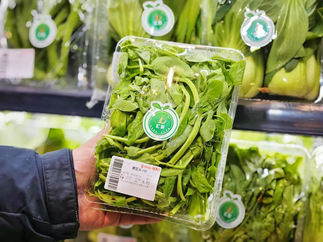 新澳门免费原料网大全