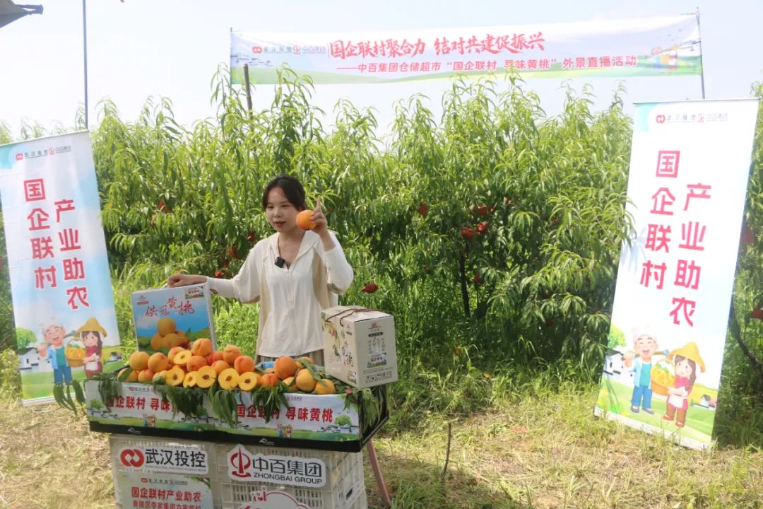 新澳门免费原料网大全